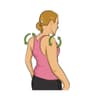 Shoulder rolls